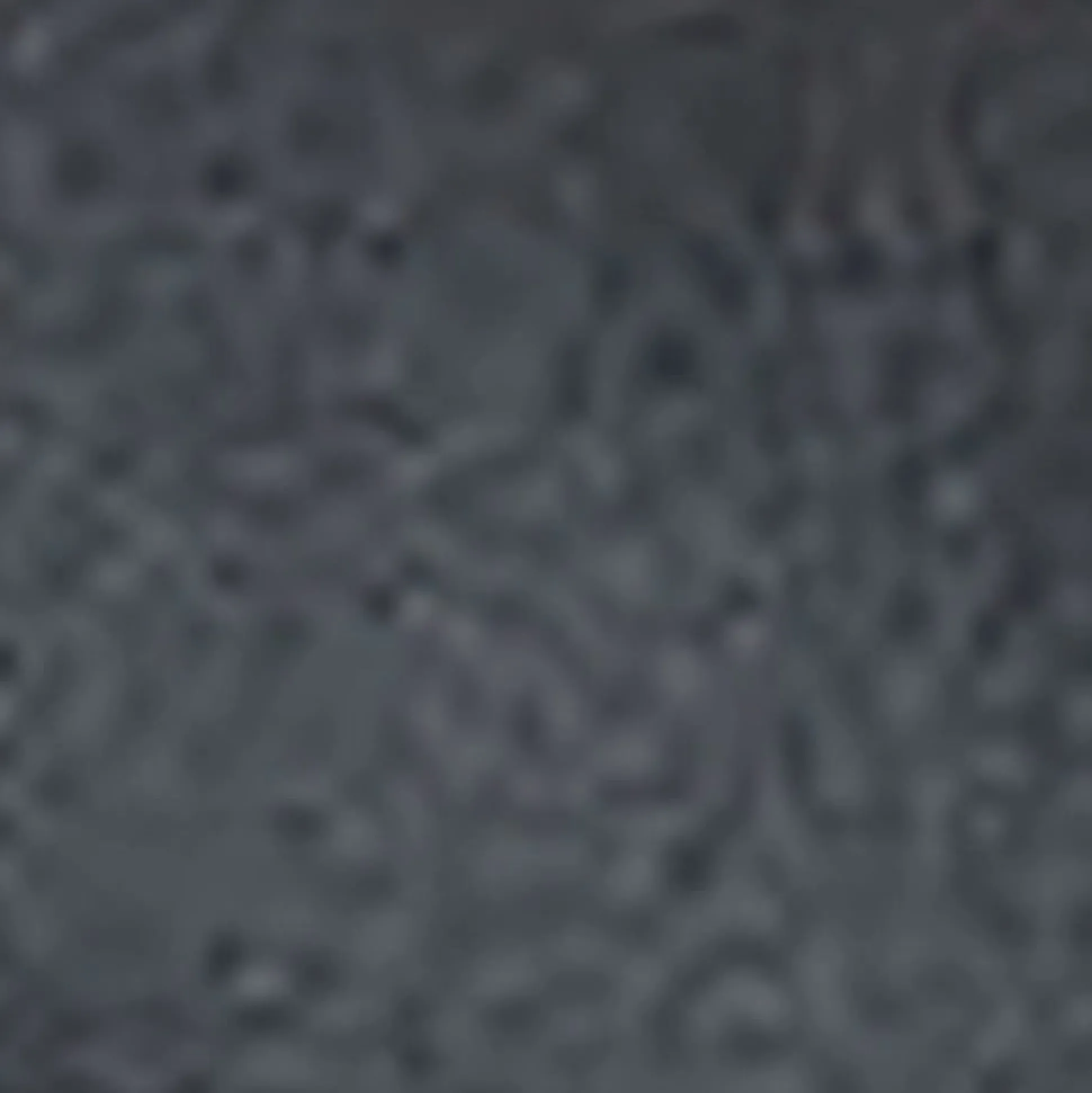 Comfortable Women's Buckled Flatform Slide Sandal in Black Leather